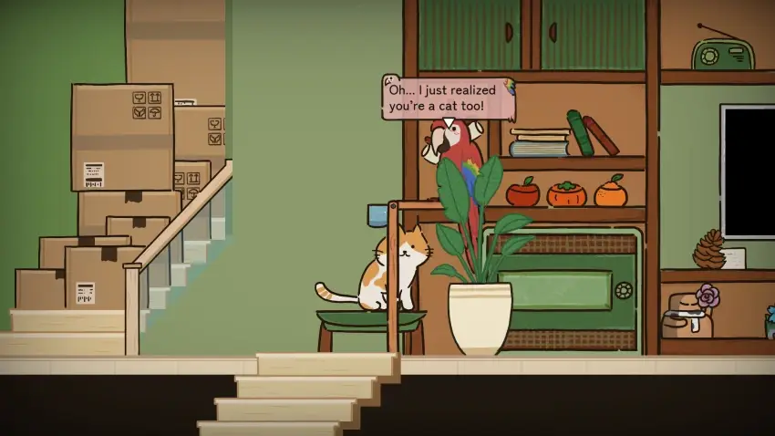 Cat at Home