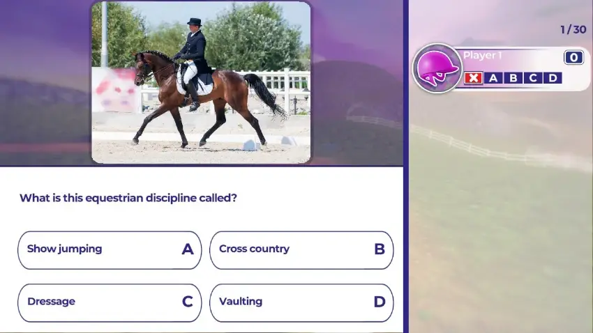 Equestrian Training 