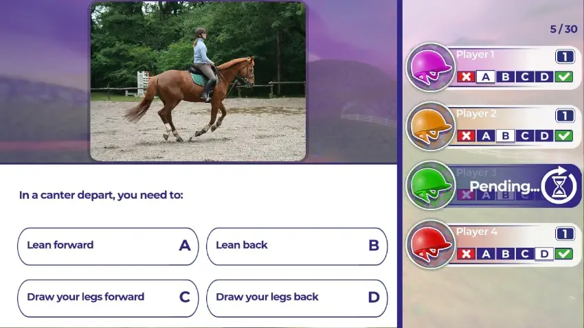 Equestrian Training 