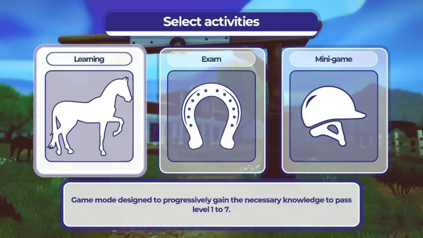 Equestrian Training 