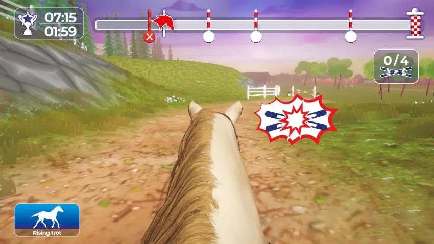 Equestrian Training 