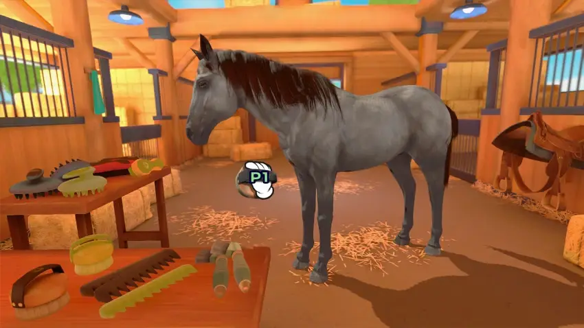 Equestrian Training 