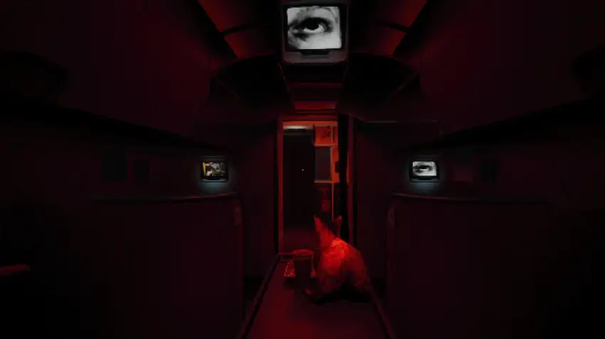 Night Plane