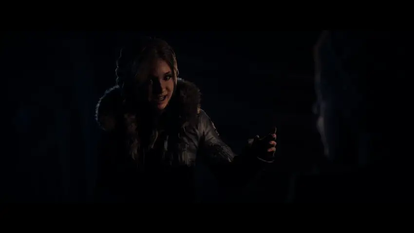Until Dawn™